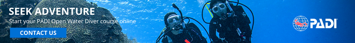 Padi open water